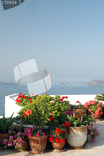 Image of flowers in pots over sea