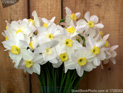 Image of Bunch of white spring narcissus