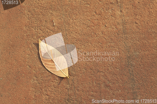 Image of Yellow leaf background