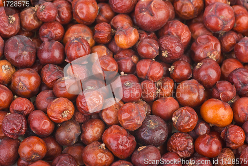 Image of Dried red juniper (Juniperus oxycedrus) berries