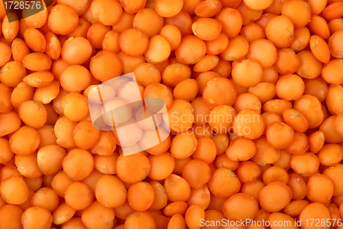 Image of Red "football" lentils