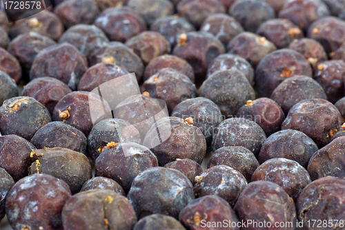 Image of Herbs: Dried high juniper (Juniperus excelsq) berries