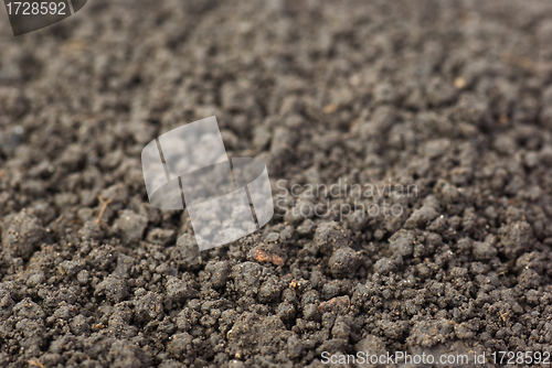 Image of Earth (mould humus)