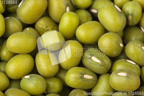Image of Abstract background: Green mung beans