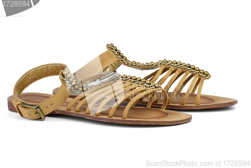 Image of Pair of brown leather female sandals