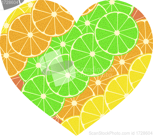 Image of citrus fruit heart. Isolated on white. Vector