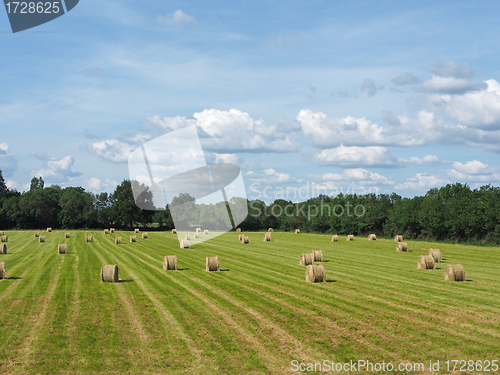 Image of Hay Bale Landscape