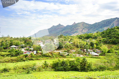 Image of Agriculture in Philippines