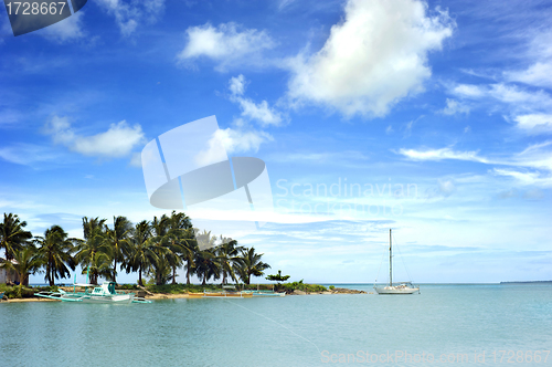 Image of Tropical landscape