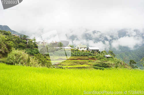 Image of Kalinga village