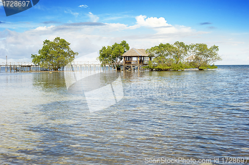 Image of Arbor in the ocean