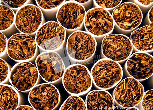 Image of Tobacco Background