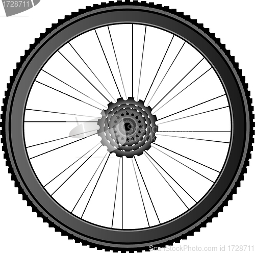 Image of Bike wheel - vector illustration on white