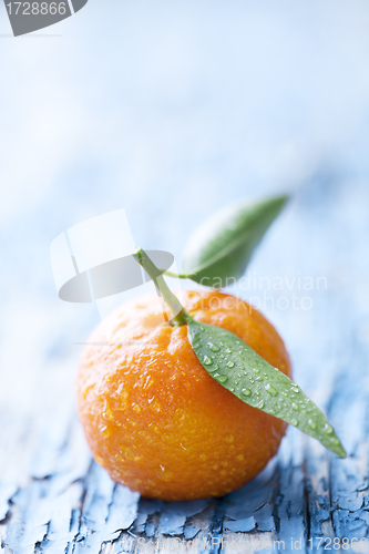 Image of oranges