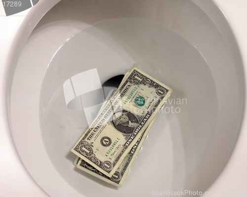 Image of Money Down the Toilet