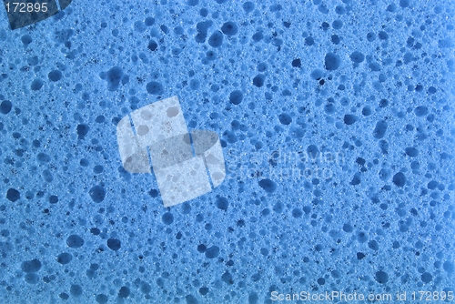 Image of Blue sponge