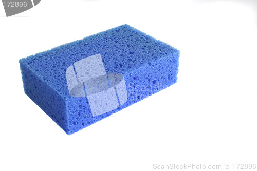 Image of Blue sponge