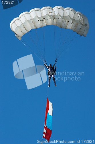 Image of Skydiver