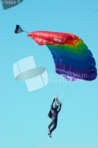 Image of Skydiver