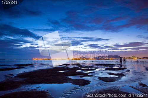 Image of Sunset at wetland and coast of Hong Kong