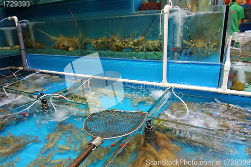 Image of Seafood market in Hong Kong