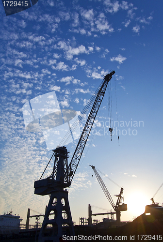 Image of Cranes at sunset