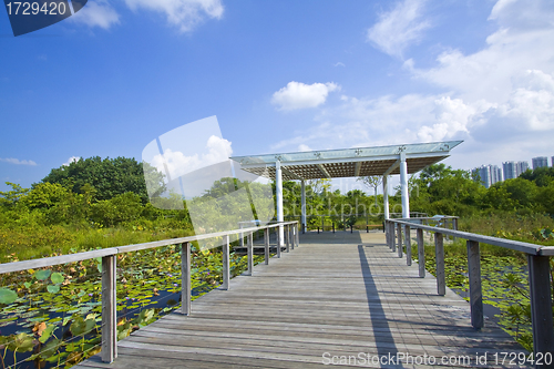 Image of Hong Kong Wetland Park