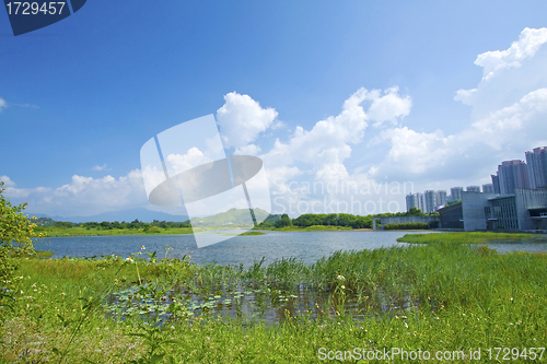 Image of Hong Kong Wetland Park