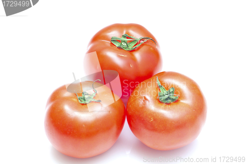 Image of Tomatoes isolated on white background