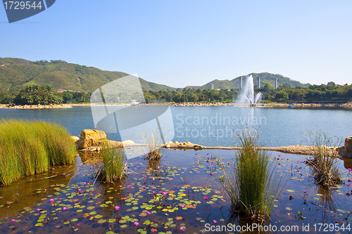 Image of A lake with grasses under blue sky