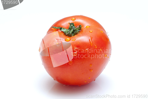 Image of Fresh tomato isolated on white background