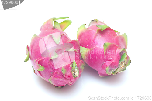Image of Dragon fruits isolated on white background
