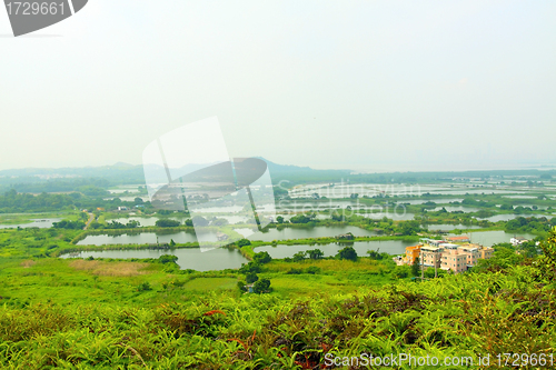 Image of Fish ponds and farmland in Hong Kong