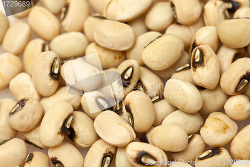 Image of Yellow beans background