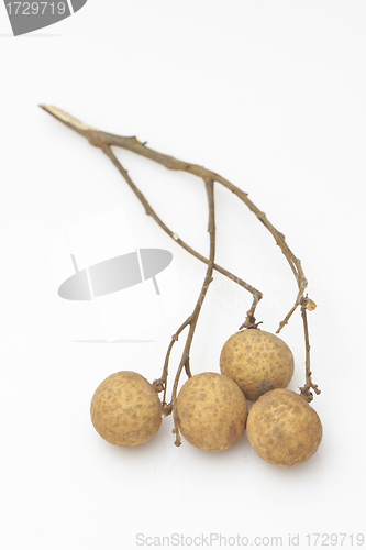 Image of Longan on white background