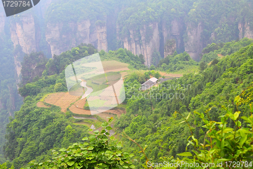 Image of Landscape in Zhangjiajie of China 