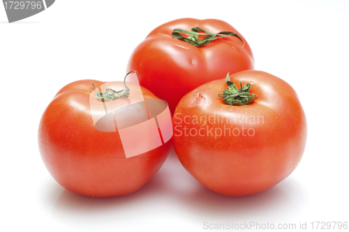 Image of Tomatoes isolated on white background
