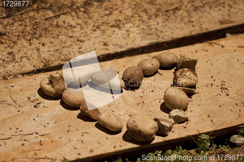 Image of Heart made by stones 
