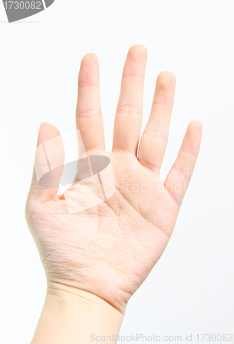 Image of Human palm isolated on white background