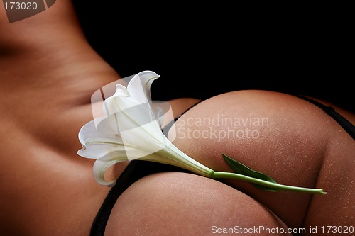 Image of Sexy Flower
