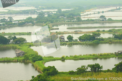 Image of Fishing ponds and wetland area