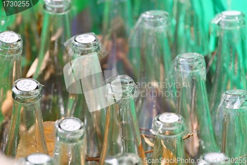 Image of Many glass bottles