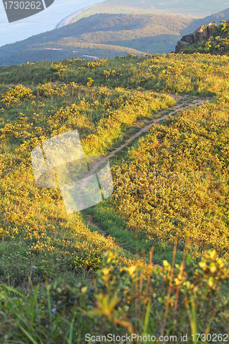 Image of Mountain path