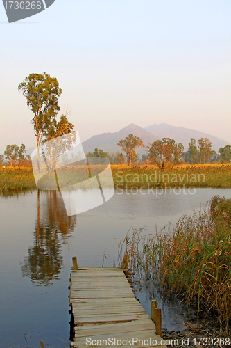 Image of Hong Kong wetland with lake and wooden pier