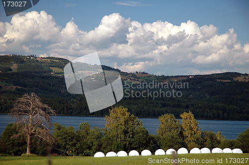 Image of Norwegian farms, landscape