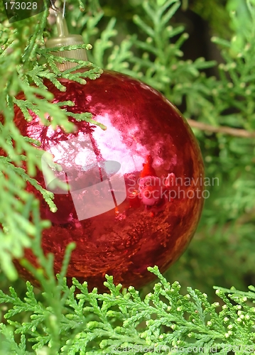 Image of Christmas tree with Santa Claus reflected