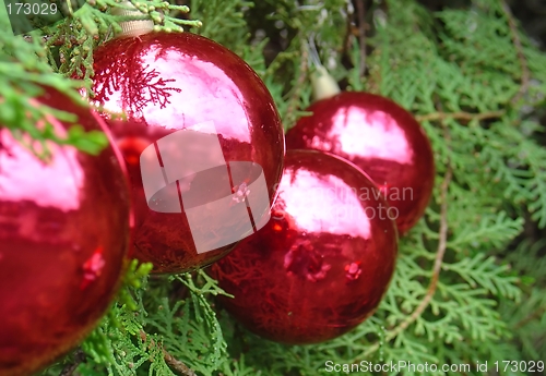 Image of Christmas tree with Santa Claus reflected
