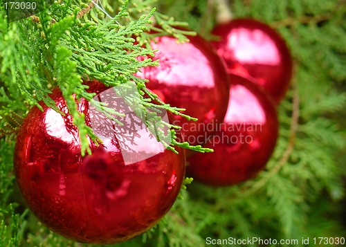 Image of Christmas tree with Santa Claus reflected