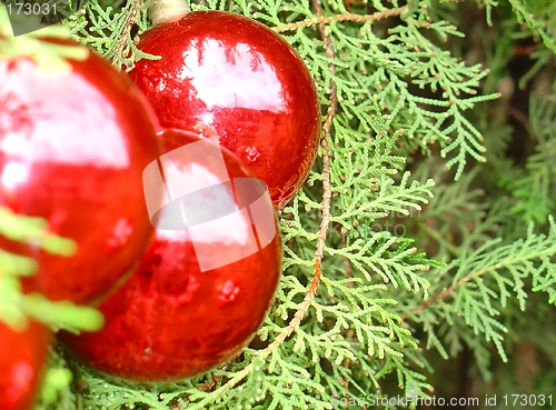 Image of Christmas tree with Santa Claus reflected