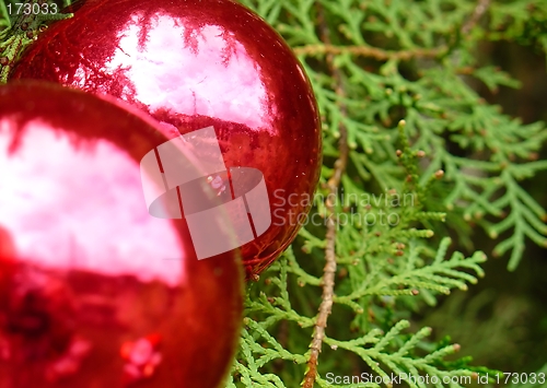 Image of Christmas tree with Santa Claus reflected